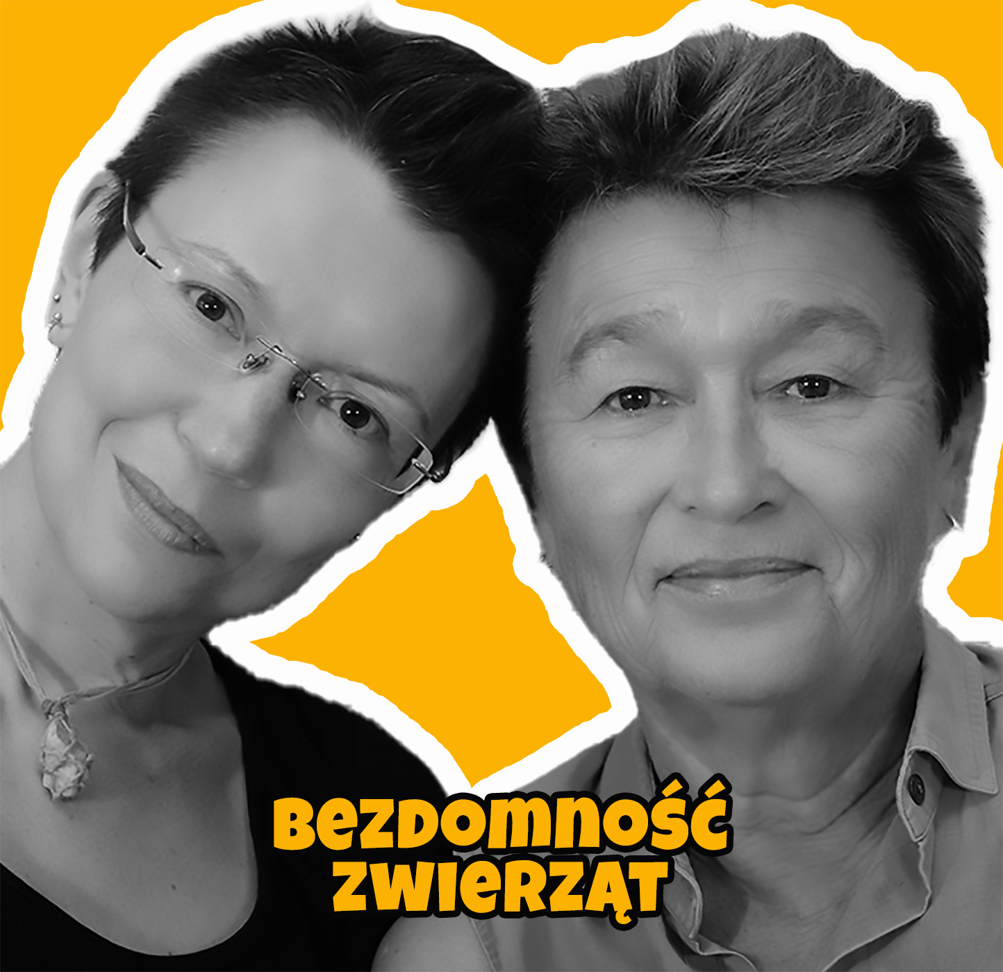 Bezdomność zwierząt