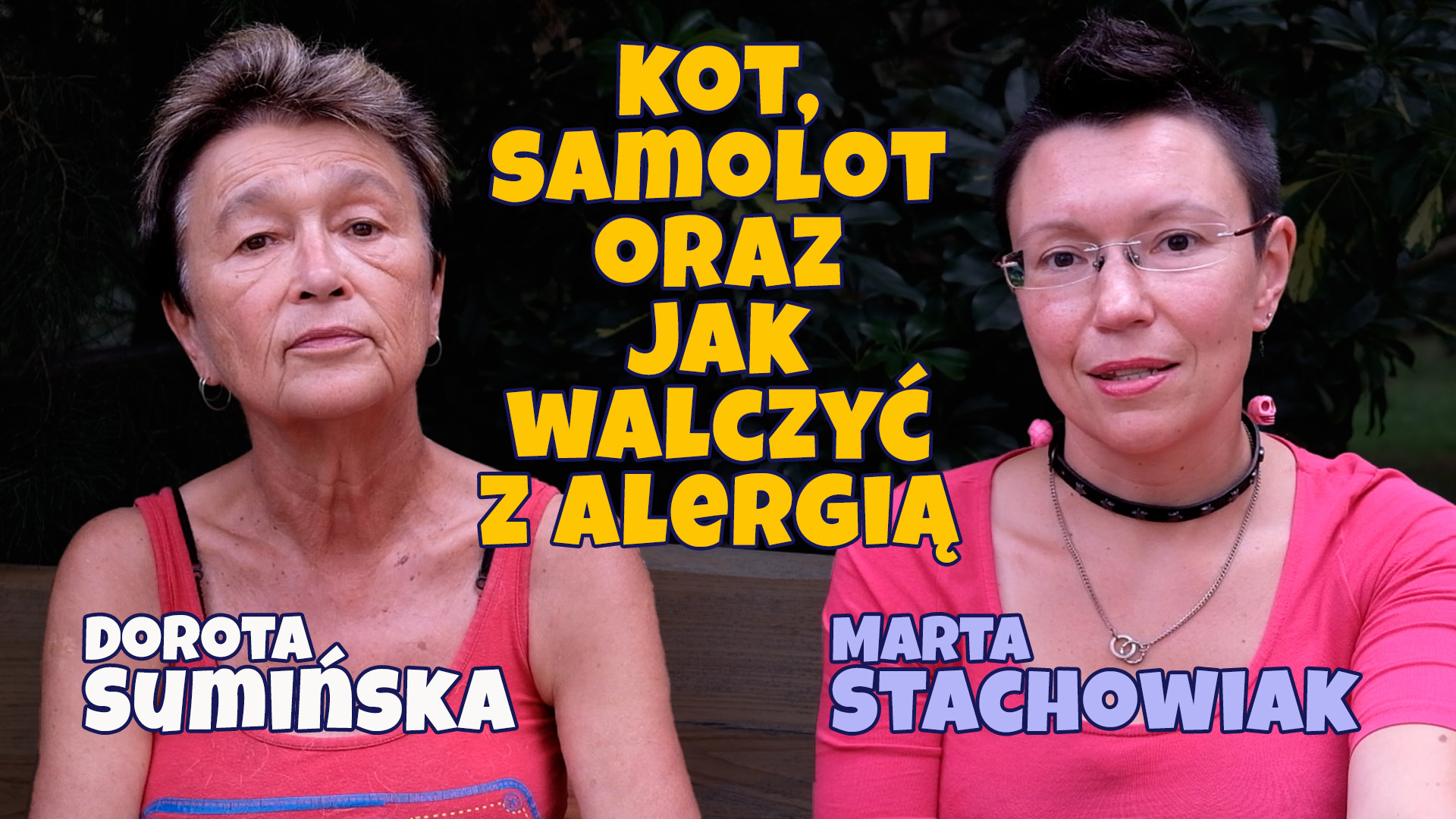 Kot, samolot oraz jak walczyć z alergią