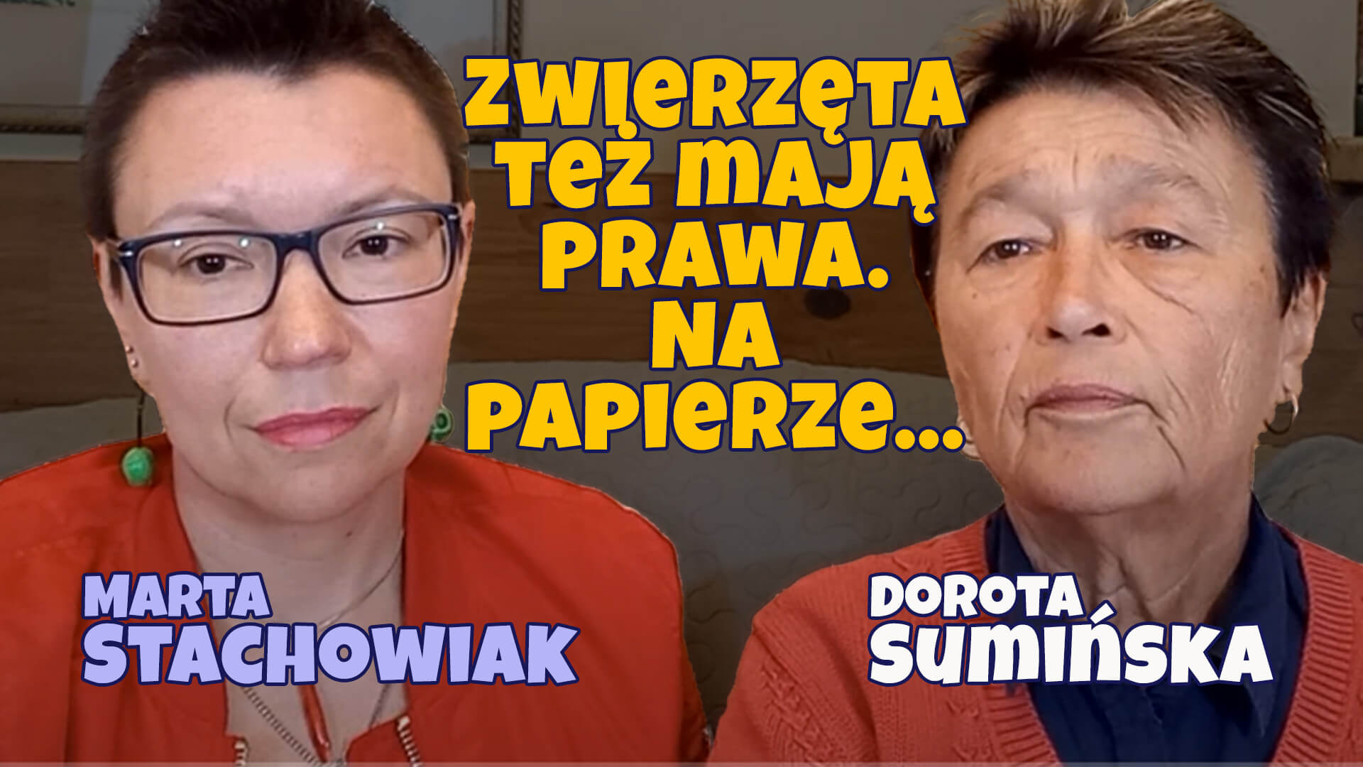 Zwierzęta też mają prawa. Na papierze…