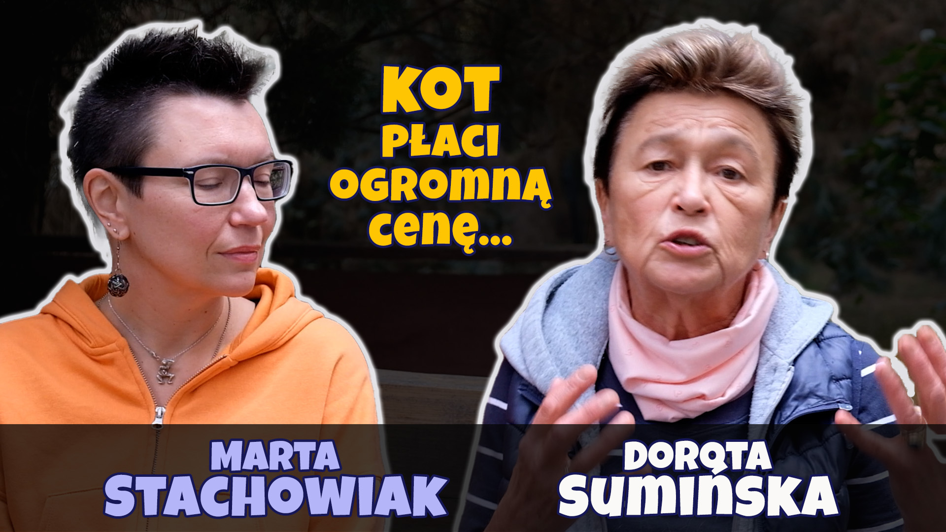 Kot płaci ogromną cenę…