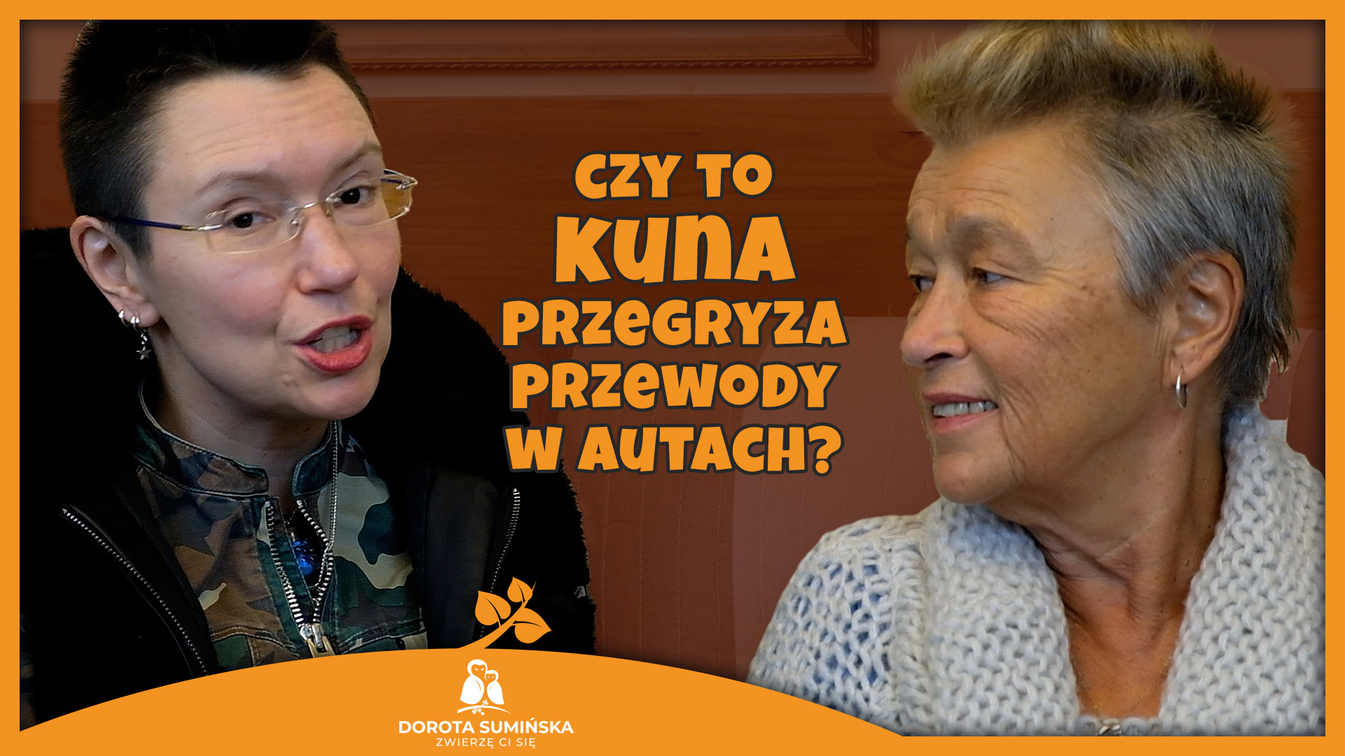 Czy to kuna przegryza przewody w autach?