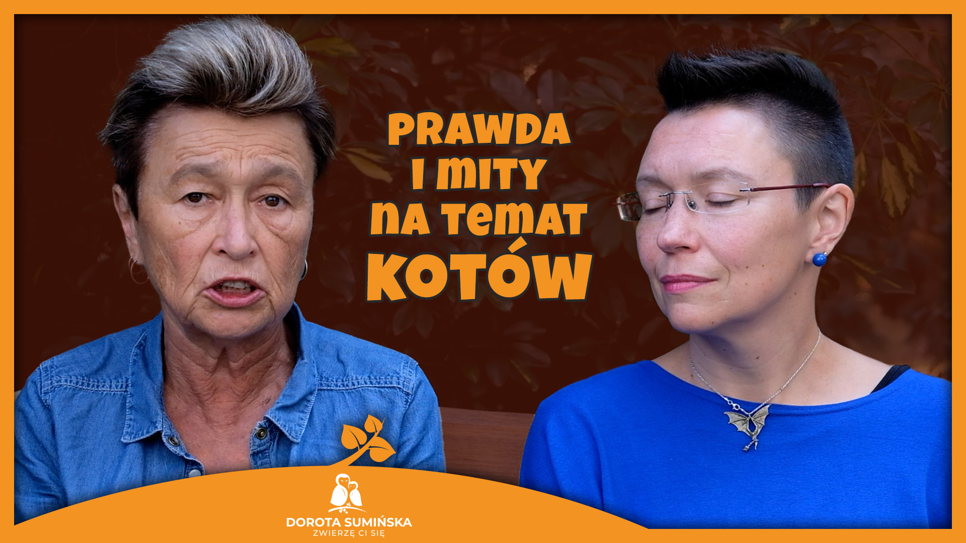 Prawda i mity na temat kotów