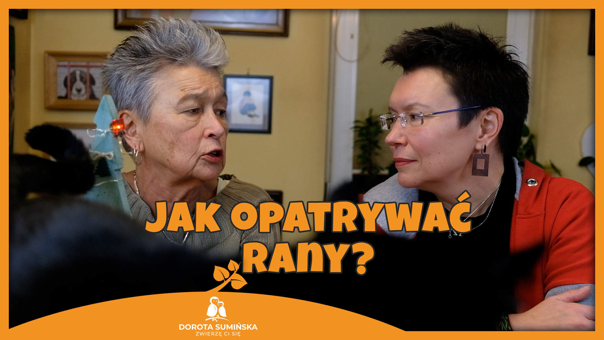 Jak opatrywać rany?