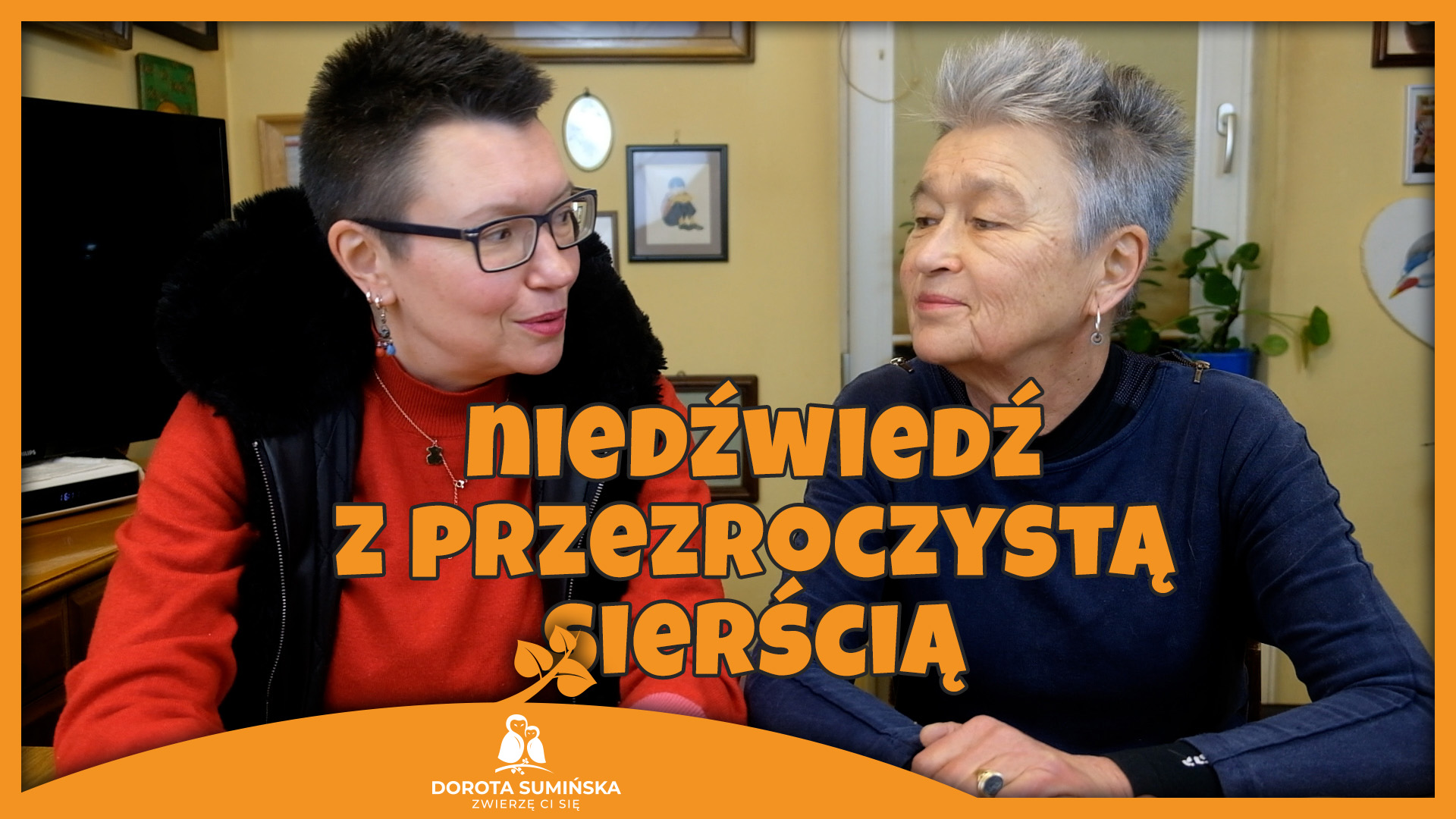 Niedźwiedź z przezroczystą sierścią