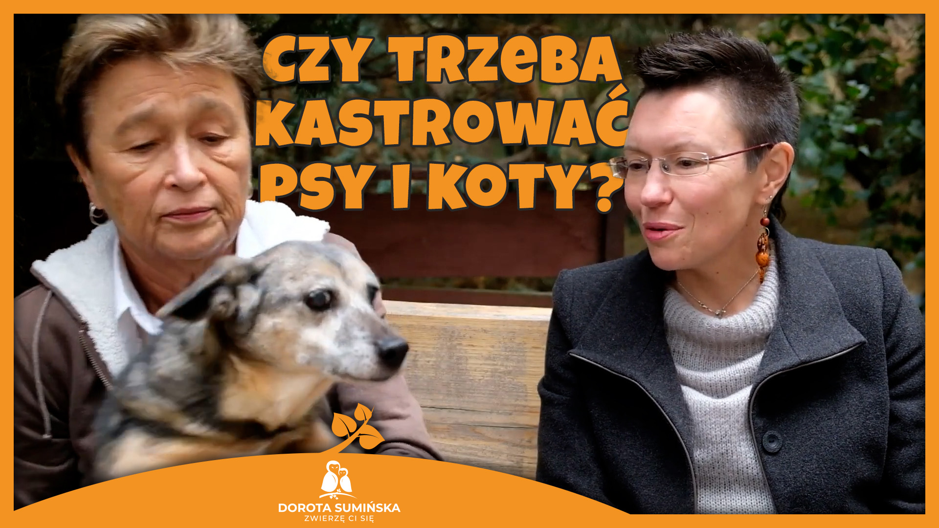 Czy trzeba kastrować psy i koty?