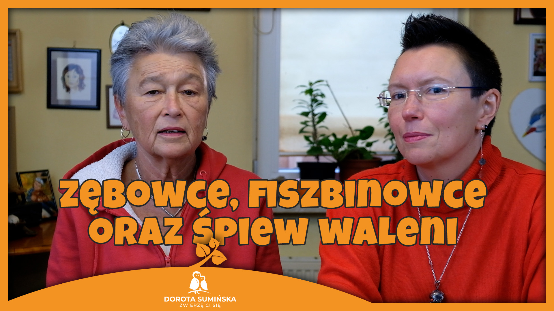 Zębowce, fiszbinowce oraz śpiew waleni