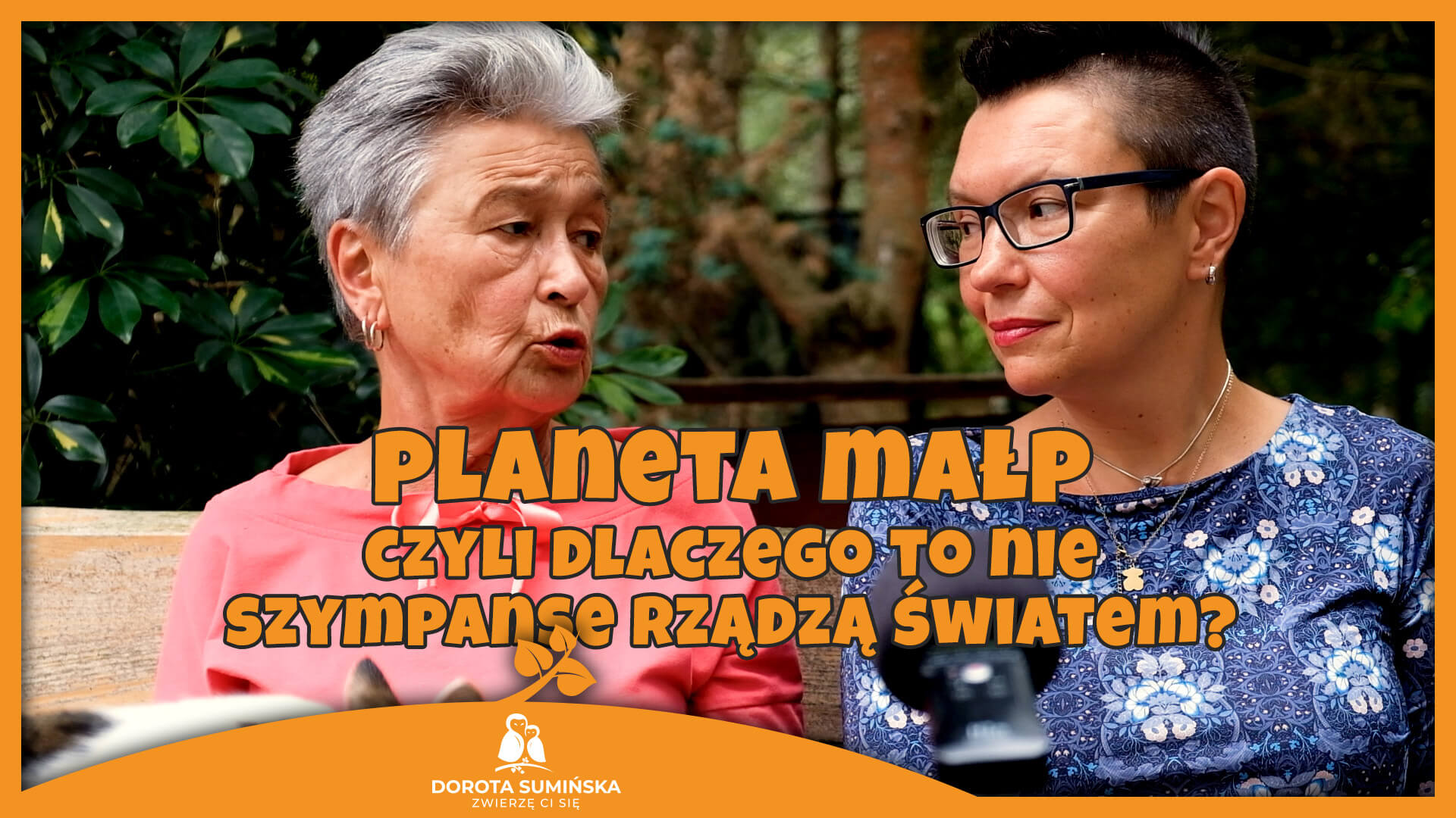 Planeta małp – czyli dlaczego to nie szympanse rządzą światem?