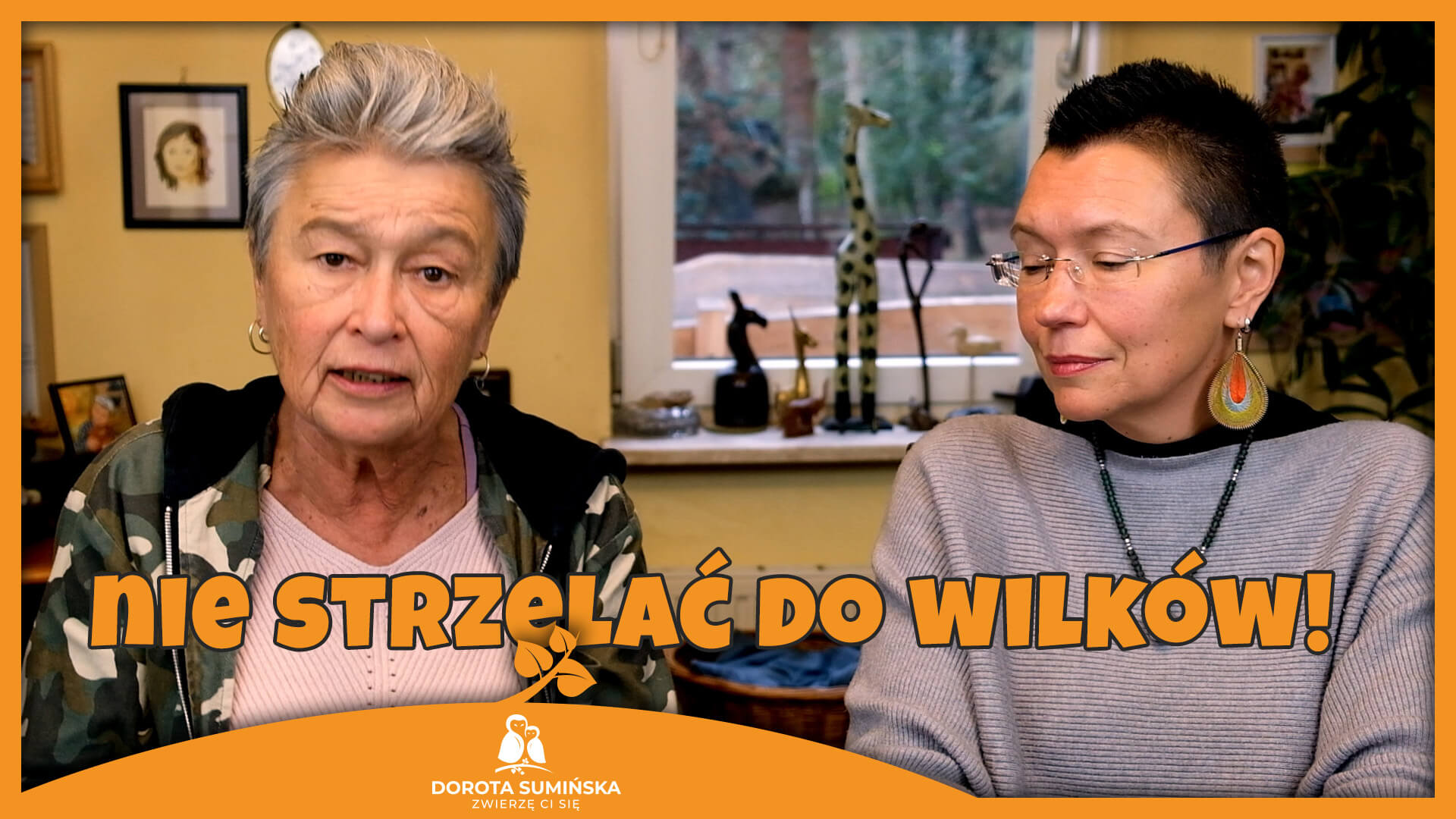 Nie strzelać do wilków!