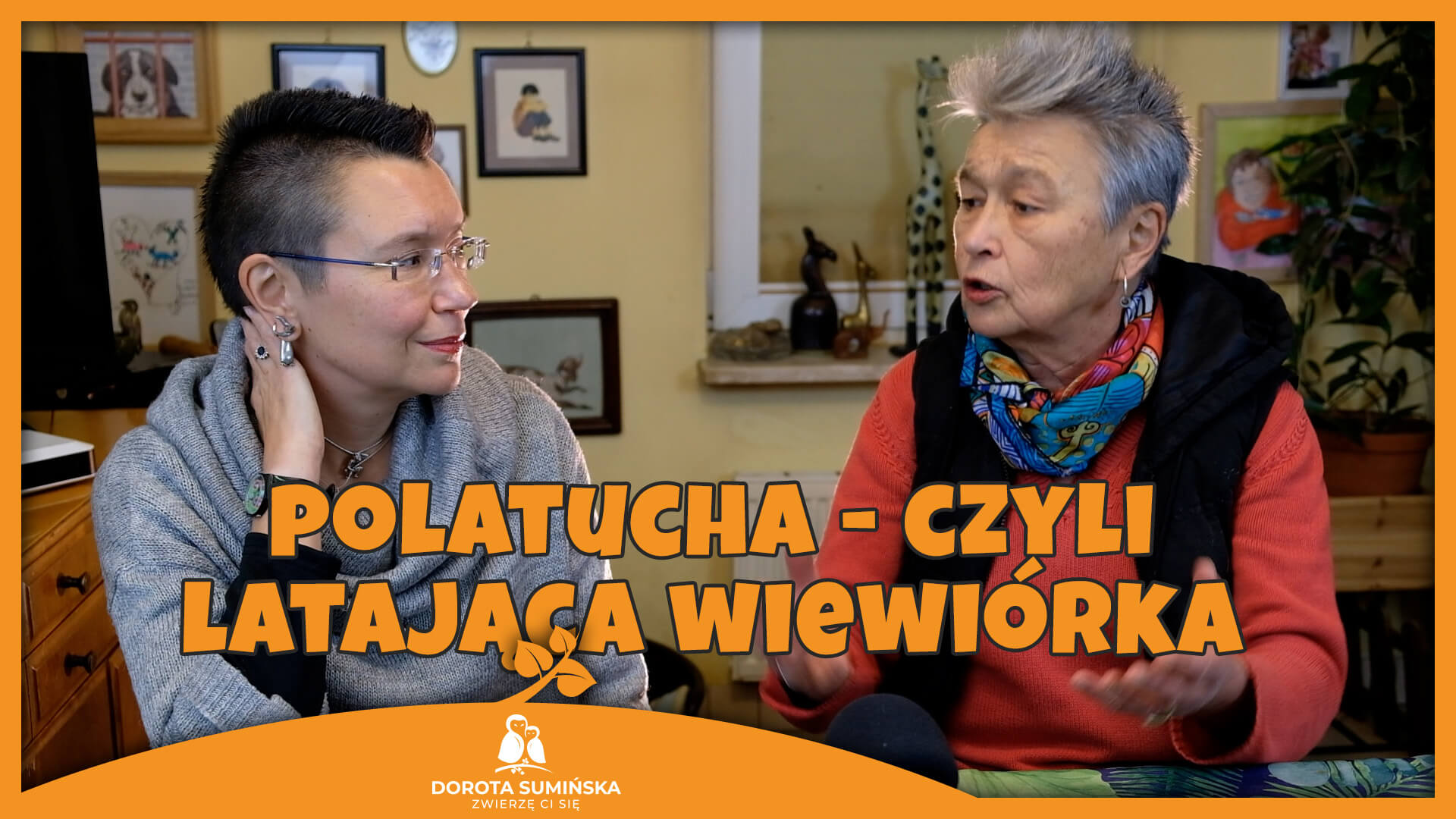 Polatucha – czyli latająca wiewiórka