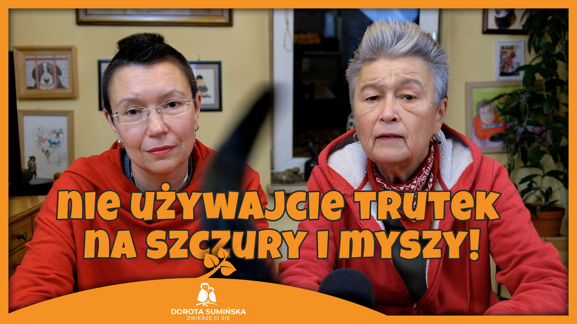 Nie używajcie trutek na szczury i myszy!