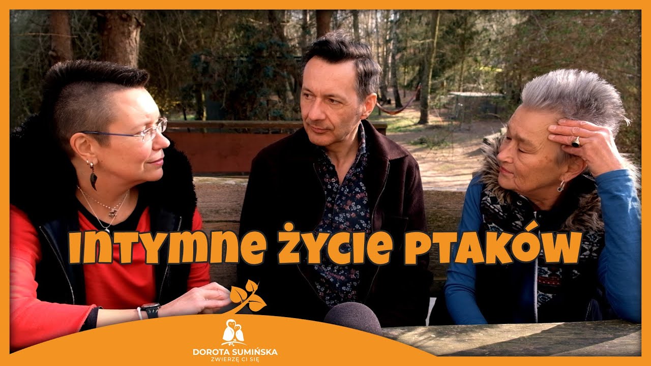 Intymne życie ptaków