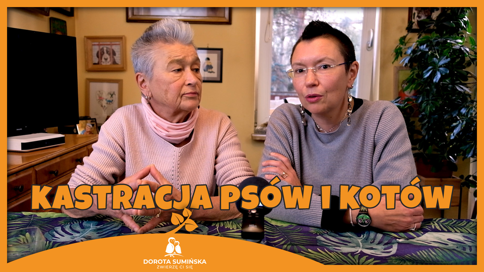 PORADNIK #1: Kastracja psów i kotów