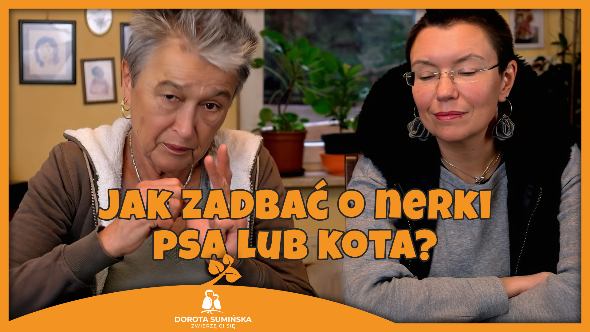 PORADNIK #2: Jak zadbać o nerki psa lub kota?