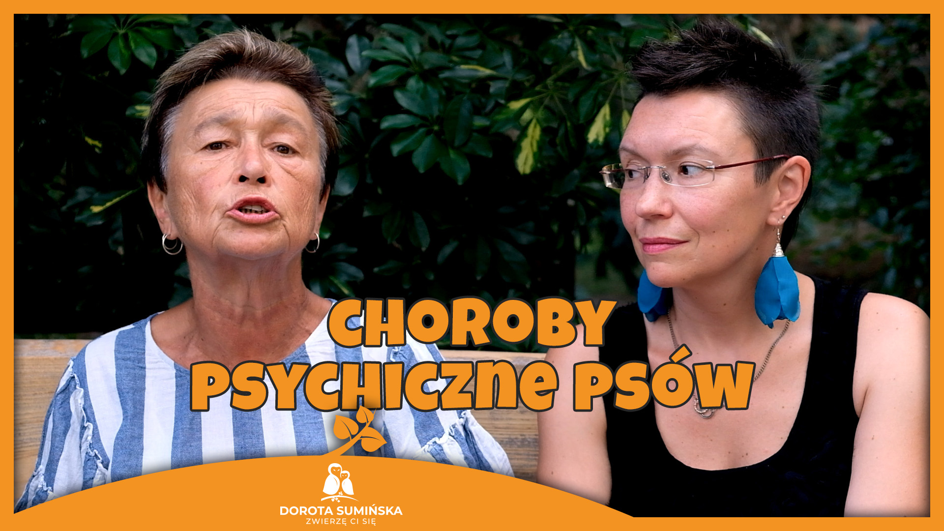 PORADNIK #3: Choroby psychiczne psów