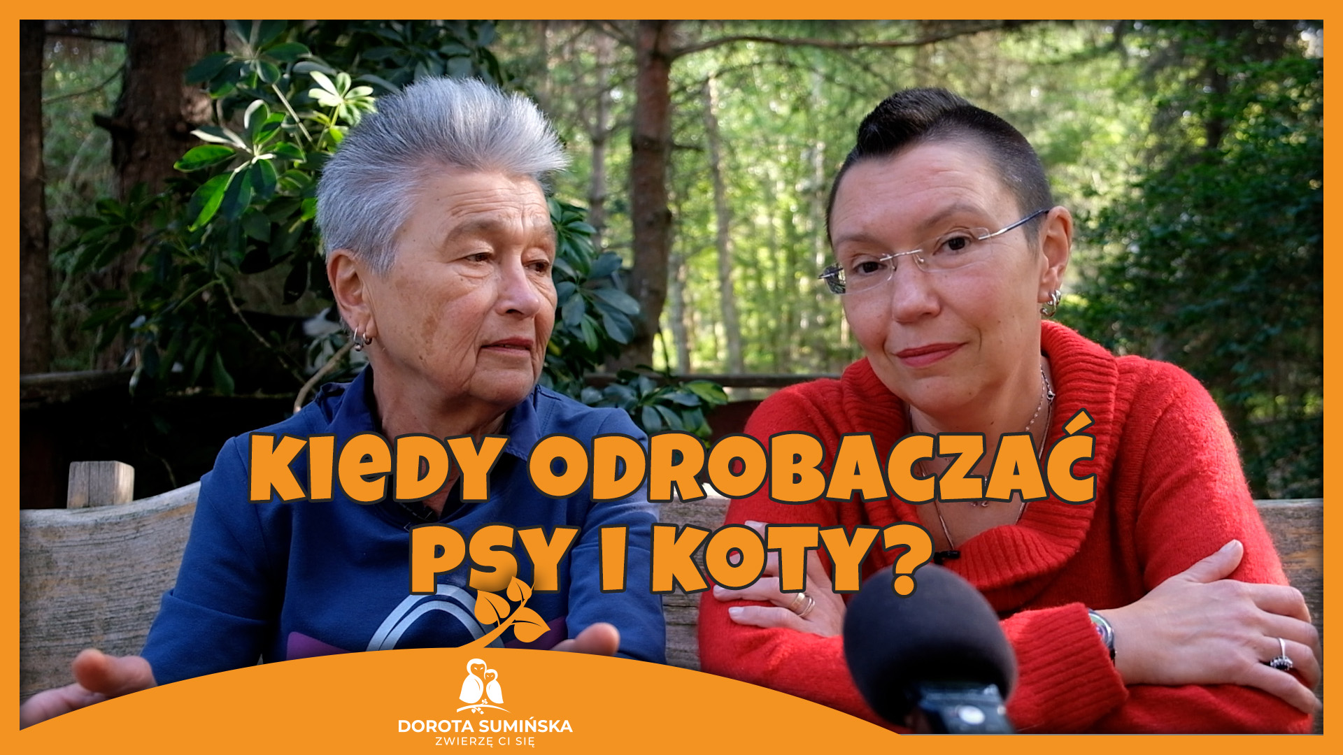 PORADNIK #4: Kiedy odrobaczać psy i koty?