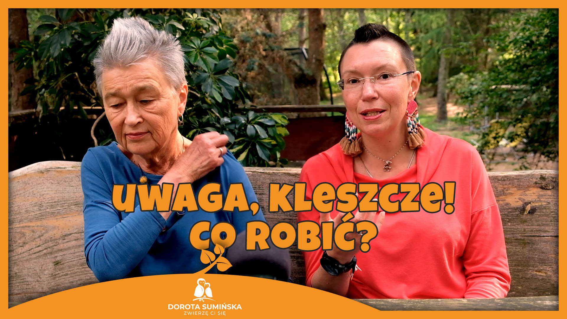 PORADNIK #5: Uwaga, kleszcze! Co robić?