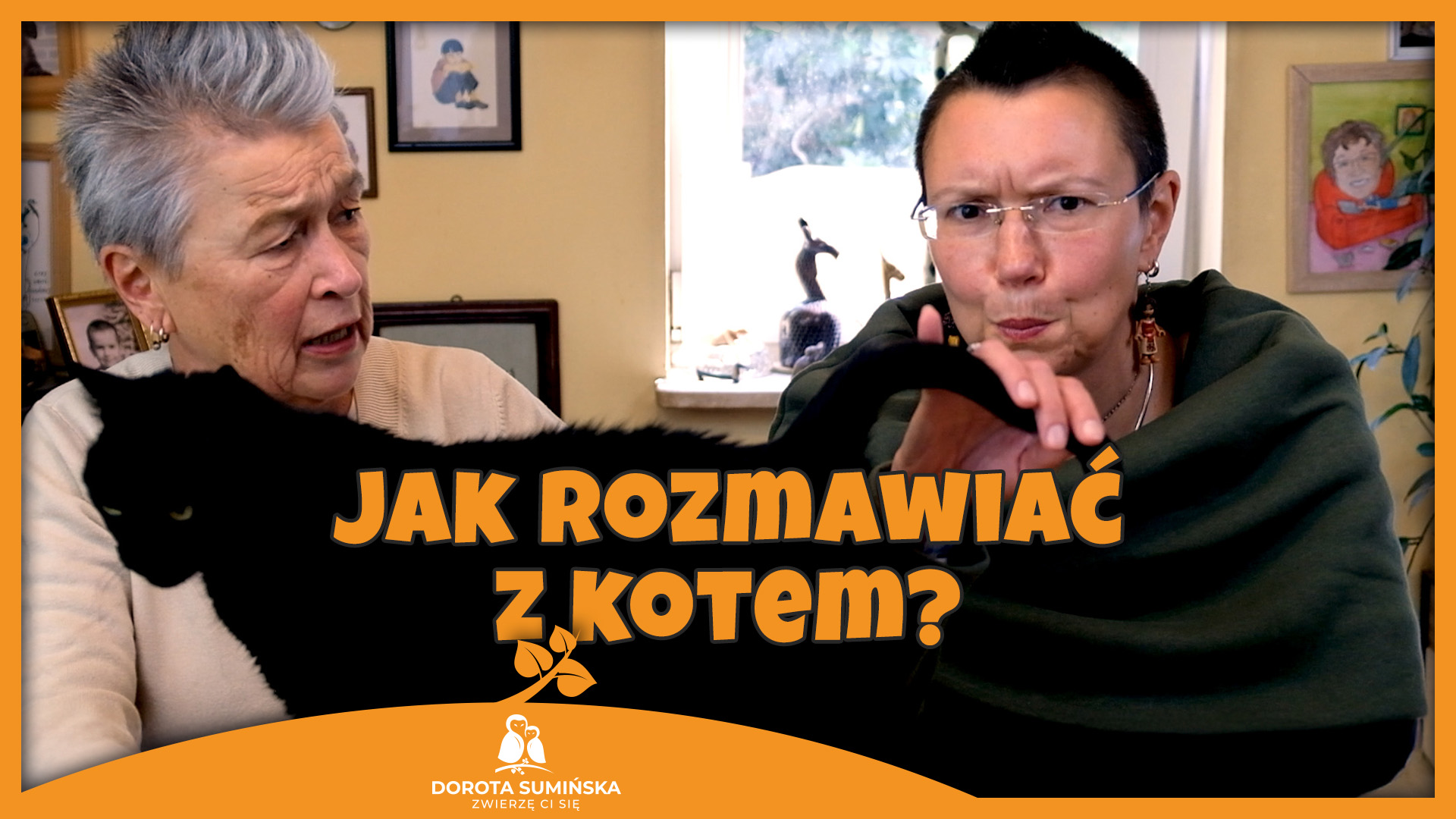 Jak rozmawiać z kotem?