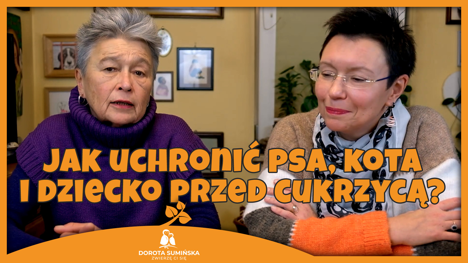 PORADNIK #9. Jak uchronić psa, kota i dziecko przed cukrzycą?