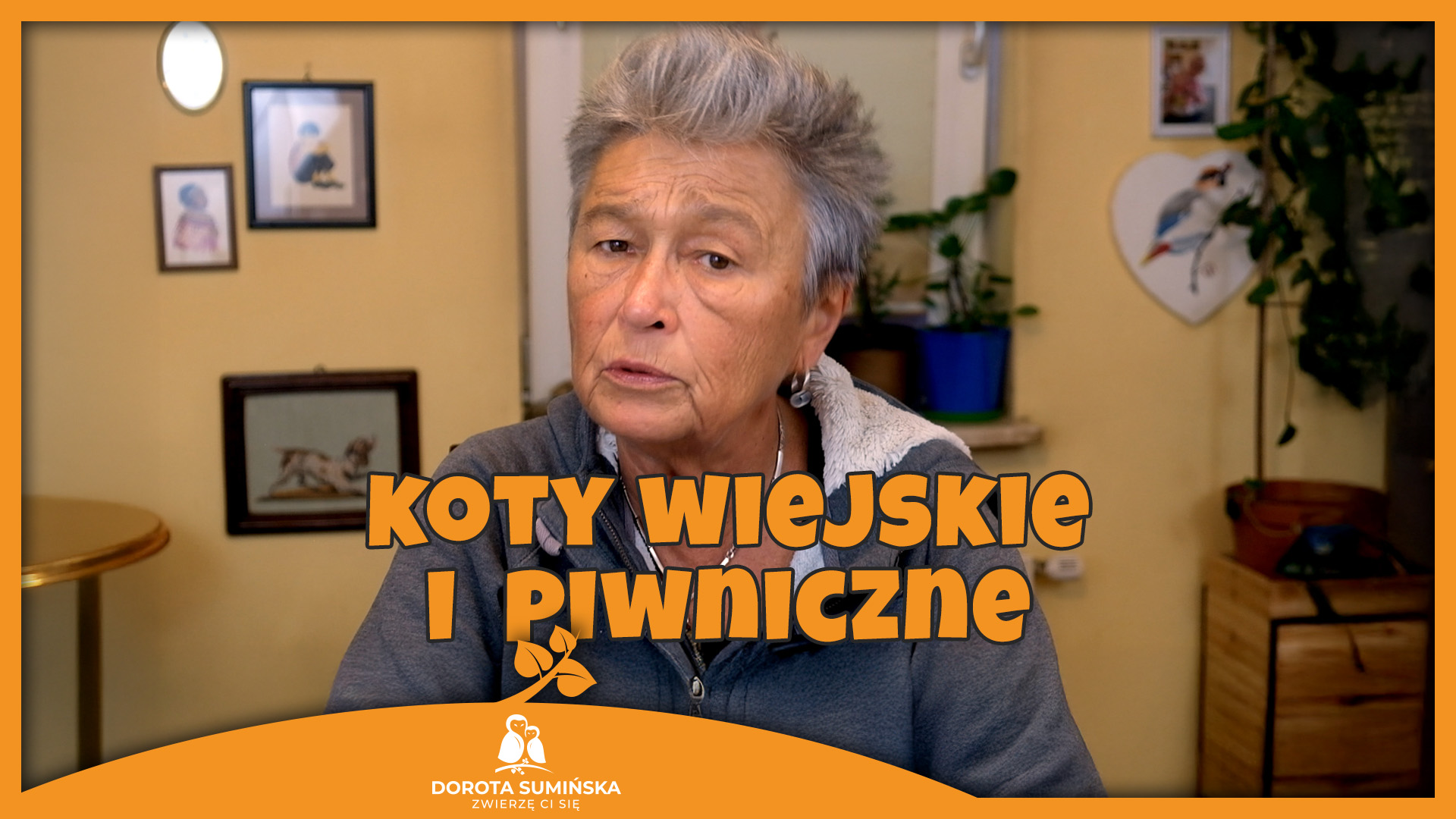 Koty wiejskie i piwniczne