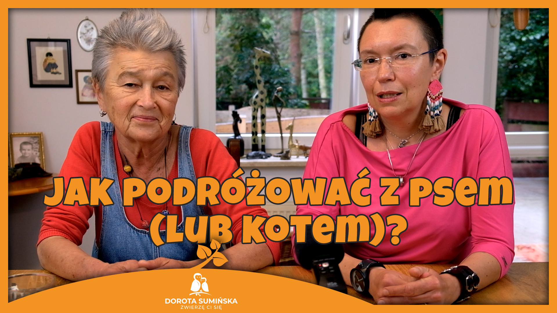 PORADNIK #10: Jak podróżować z psem i kotem?