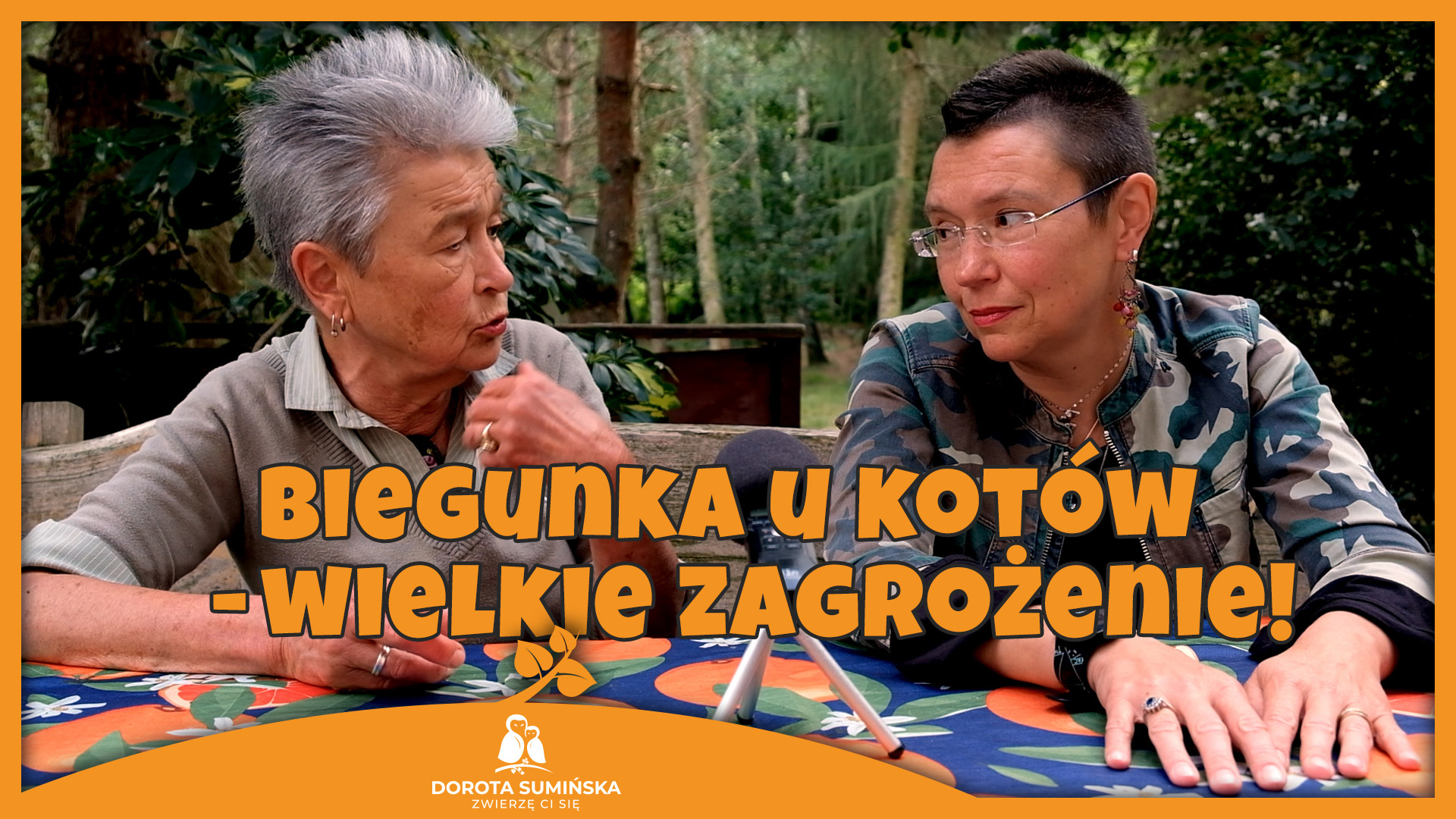 PORADNIK #13: Biegunka u kotów – wielkie zagrożenie!
