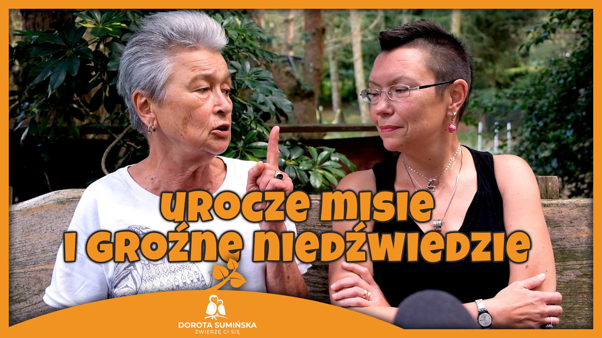 Urocze misie i groźne niedźwiedzie