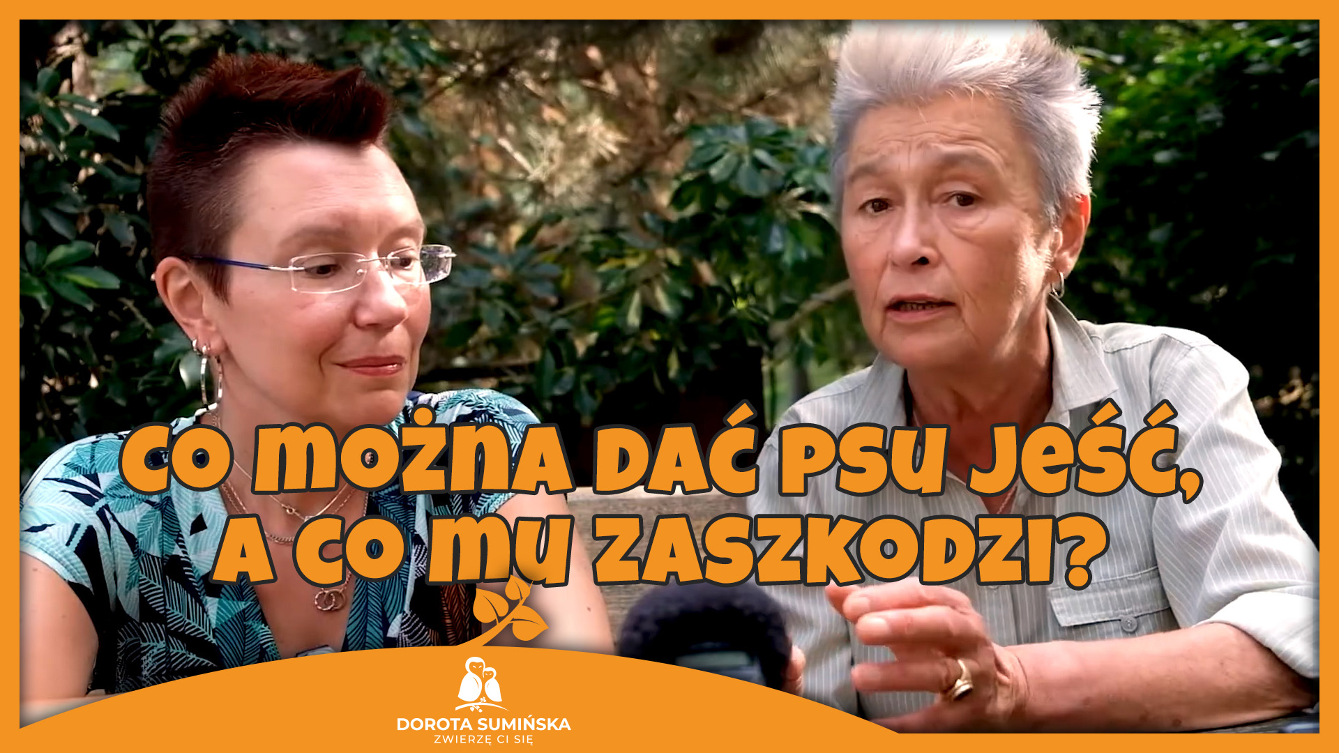 PORADNIK #17: Co można dać psu jeść, a co mu zaszkodzi?