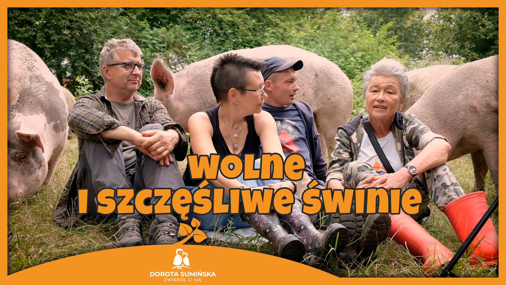 Wolne i szczęśliwe świnie