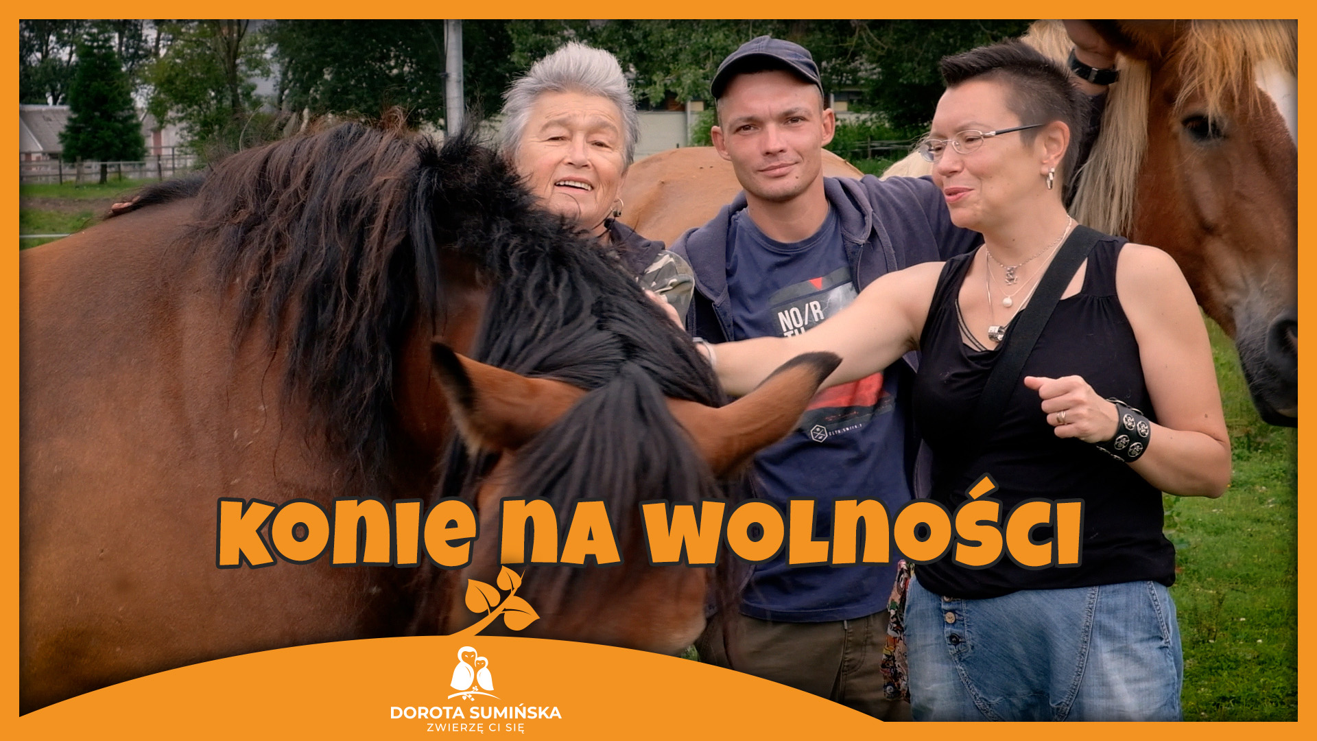 Konie na wolności