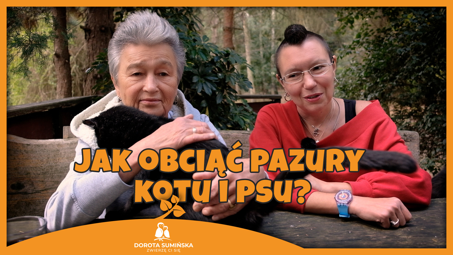 PORADNIK #21: Jak obciąć pazury kotu i psu?