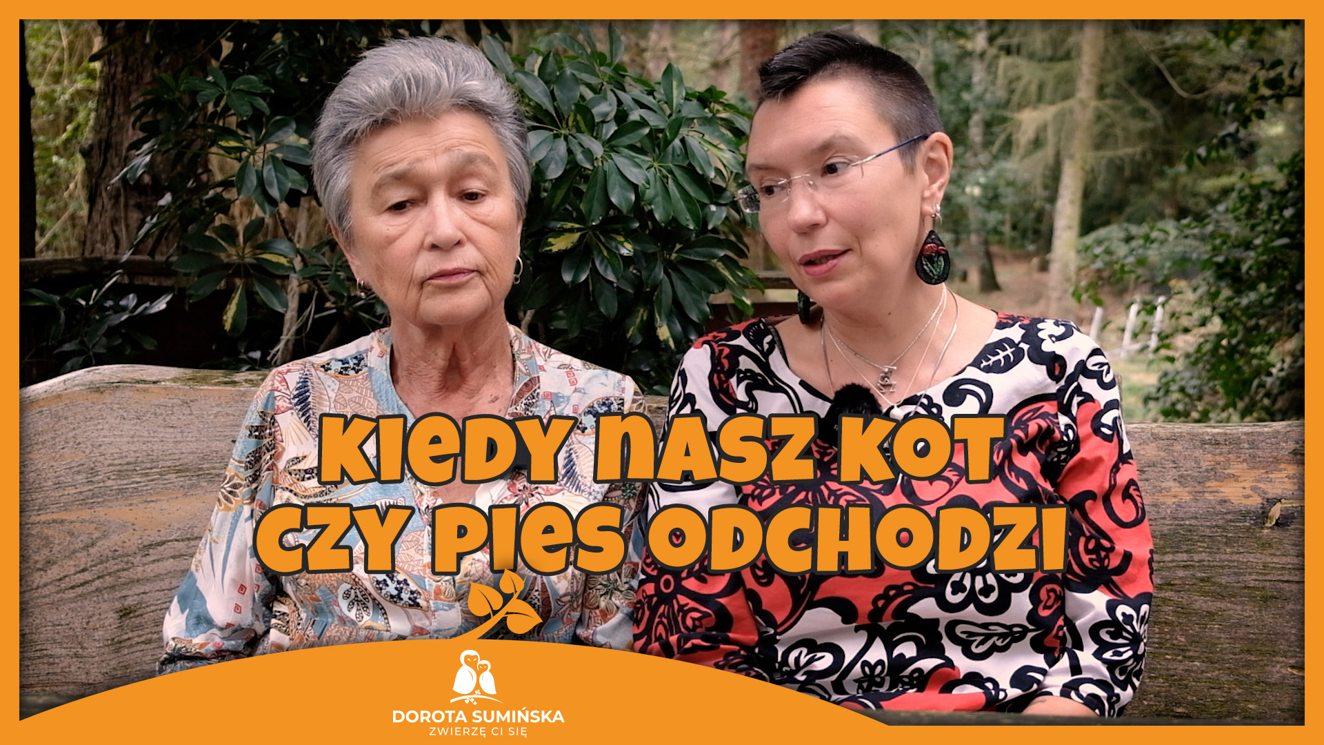 PORADNIK #23: Kiedy nasz kot czy pies odchodzi