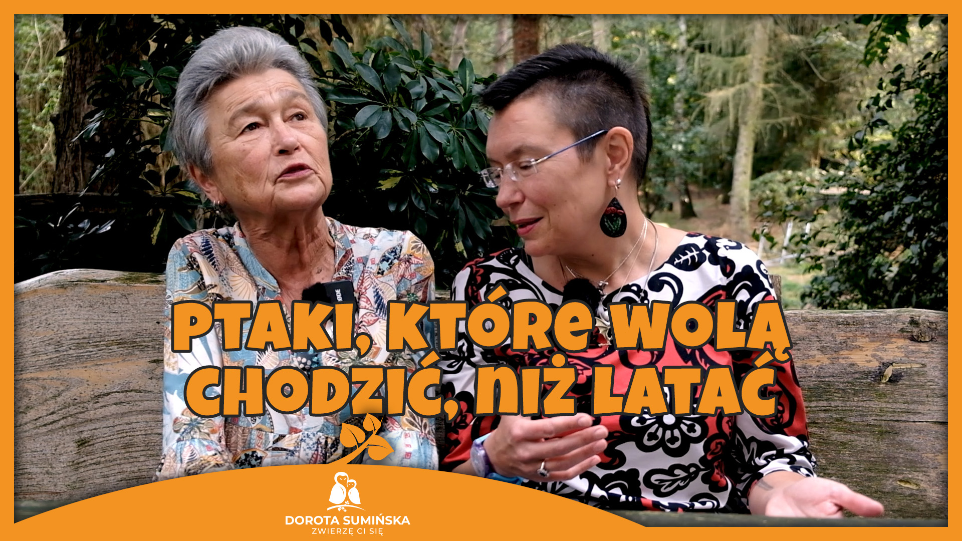 Ptaki, które wolą chodzić, niż latać