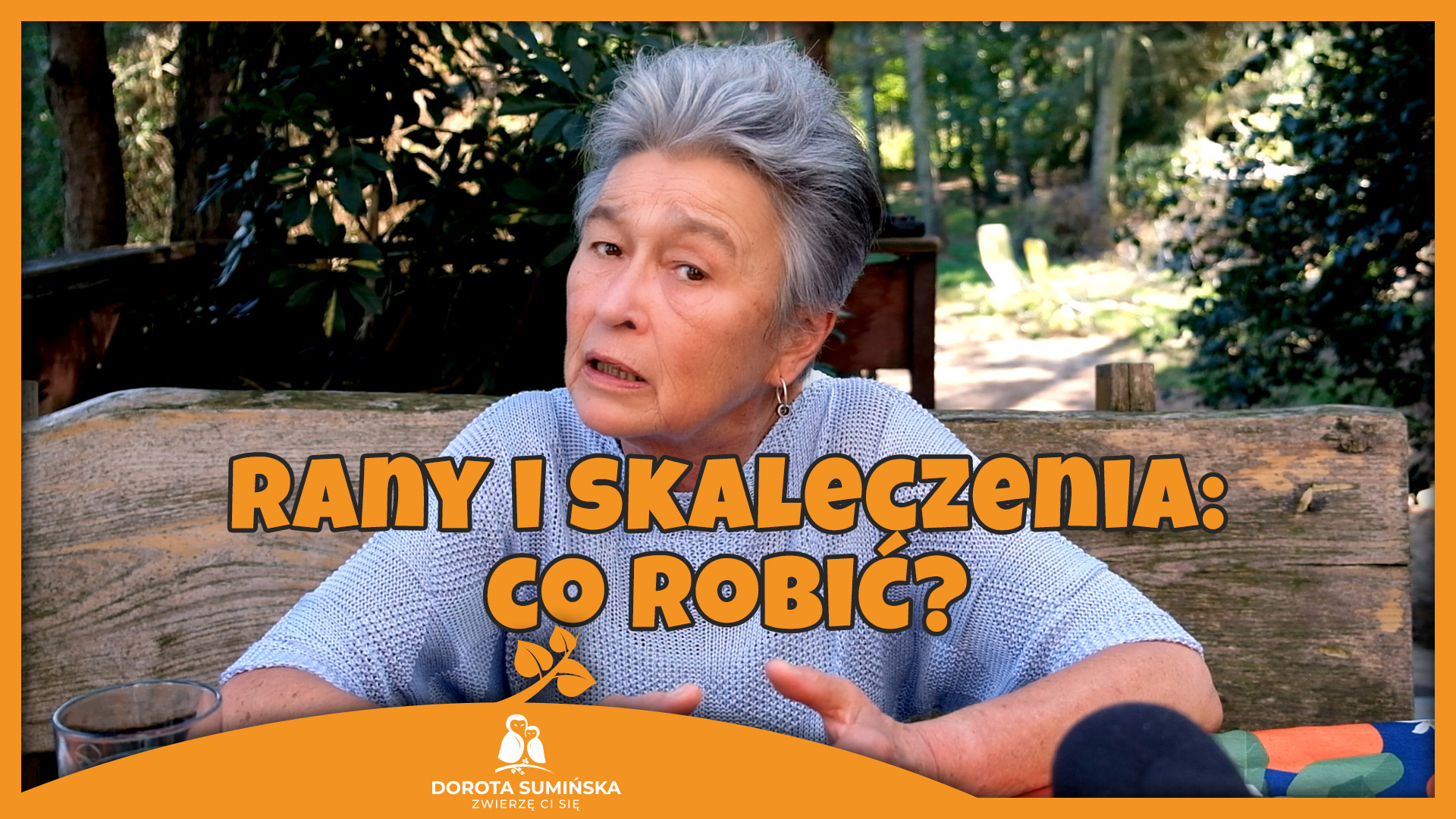 PORADNIK #25: Rany i skaleczenia: co robić?